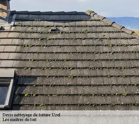 Devis nettoyage de toiture  22460