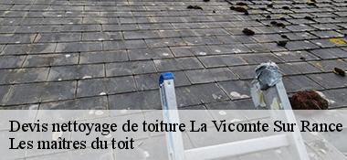 Devis nettoyage de toiture  22690