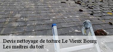 Devis nettoyage de toiture  22800