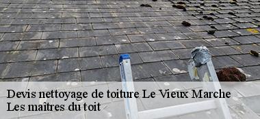 Devis nettoyage de toiture  22420