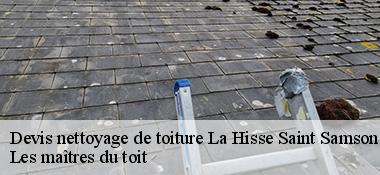 Devis nettoyage de toiture  22100