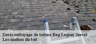 Devis nettoyage de toiture  22300