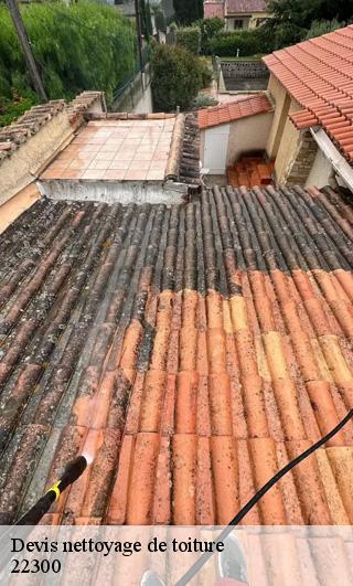 Devis nettoyage de toiture  22300