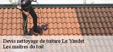 Devis nettoyage de toiture  22300