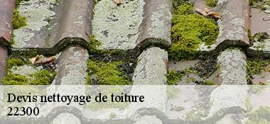 Devis nettoyage de toiture  22300