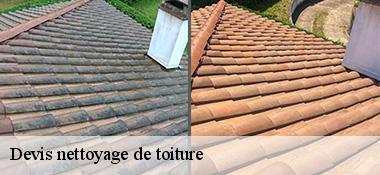 Devis nettoyage de toiture  22300