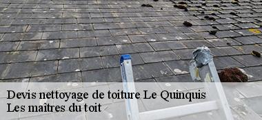 Devis nettoyage de toiture  22540