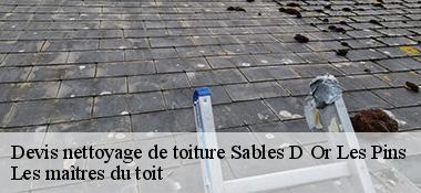 Devis nettoyage de toiture  22240