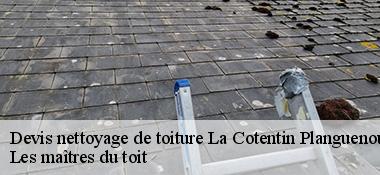 Devis nettoyage de toiture  22400