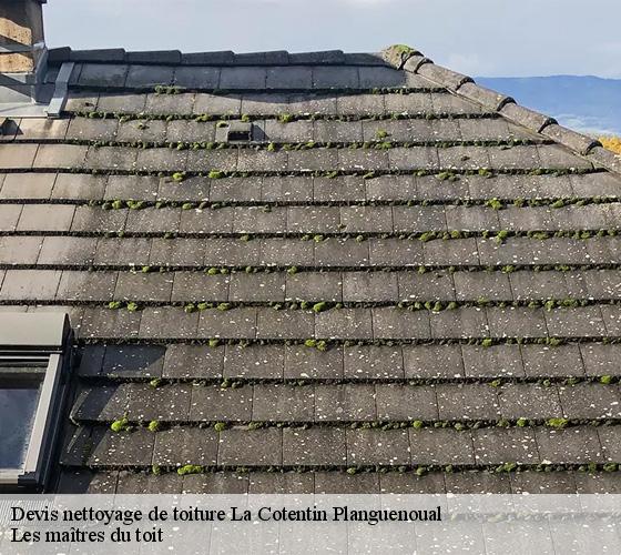 Devis nettoyage de toiture 22400