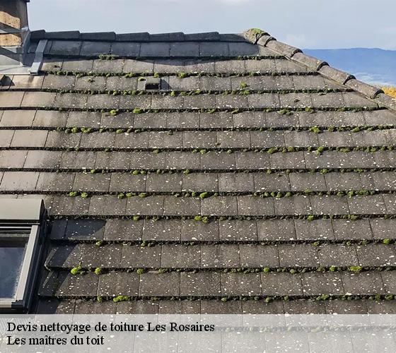 Devis nettoyage de toiture  22190