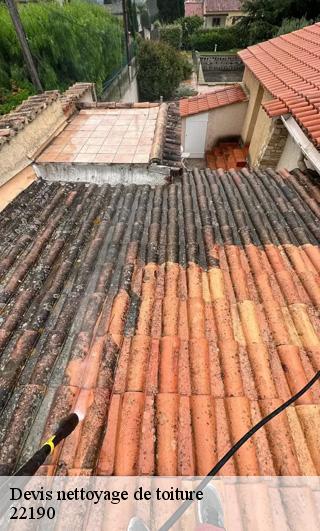 Devis nettoyage de toiture  22190