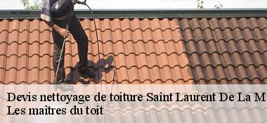Devis nettoyage de toiture  22190