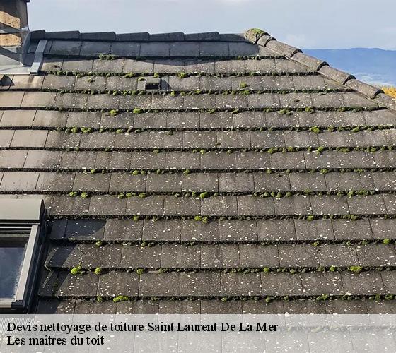 Devis nettoyage de toiture  22190