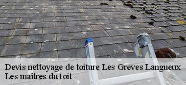 Devis nettoyage de toiture  22360