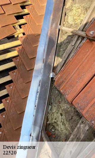 Devis zingueur  22520