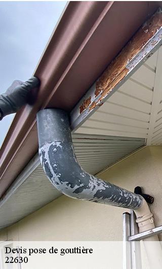 Devis pose de gouttière  22630