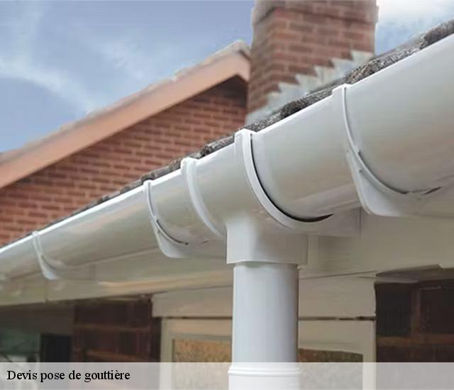 Devis pose de gouttière  22500