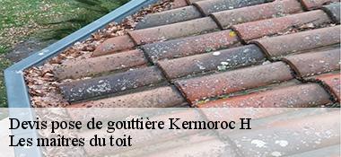 Devis pose de gouttière  22140