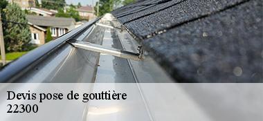 Devis pose de gouttière  22300