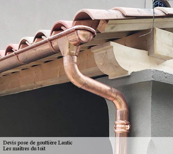 Devis pose de gouttière 22410