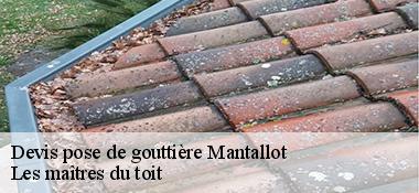 Devis pose de gouttière  22450