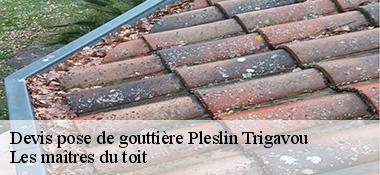 Devis pose de gouttière  22490