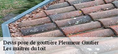 Devis pose de gouttière  22740