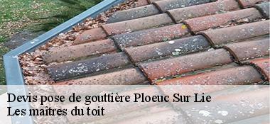 Devis pose de gouttière  22150