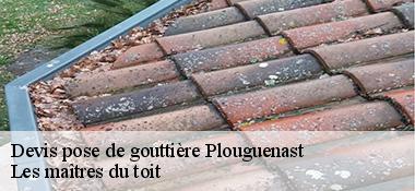 Devis pose de gouttière 22150