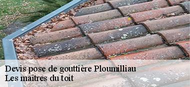 devis-pose-de-gouttiere