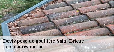 Devis pose de gouttière  22000