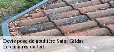 Devis pose de gouttière  22800