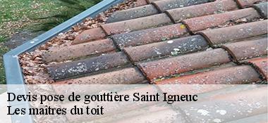 Devis pose de gouttière  22270