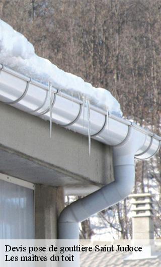 Devis pose de gouttière  22630