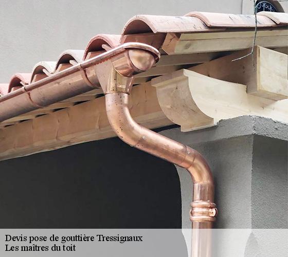 Devis pose de gouttière  22290