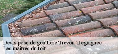 Devis pose de gouttière 22660