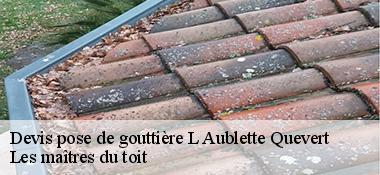 Devis pose de gouttière  22100