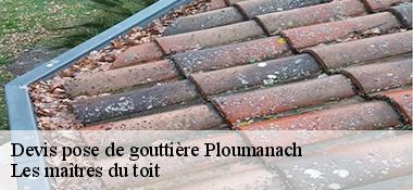 devis-pose-de-gouttiere