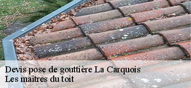 Devis pose de gouttière  22240