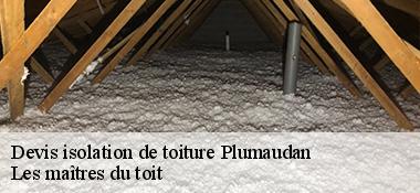 Devis isolation de toiture  22350