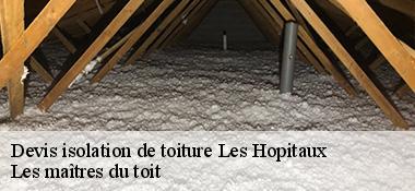 Devis isolation de toiture  22430