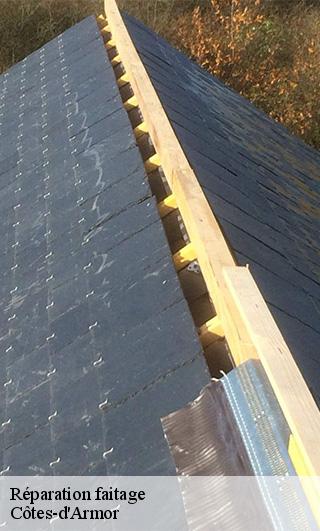 Réparation faitage Côtes-d'Armor