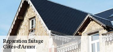 Réparation faitage Côtes-d'Armor