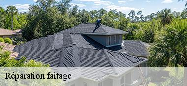 Réparation faitage Côtes-d'Armor 