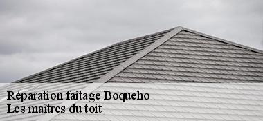Réparation faitage  22170