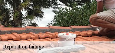 Réparation faitage  22320