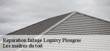 Réparation faitage  22780