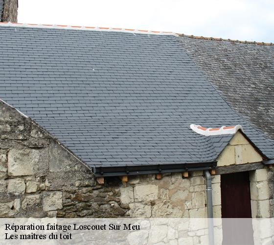 Réparation faitage  22230