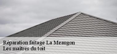 Réparation faitage  22440